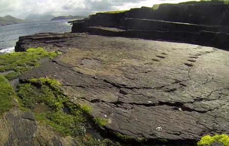 Tetrapod Trackway